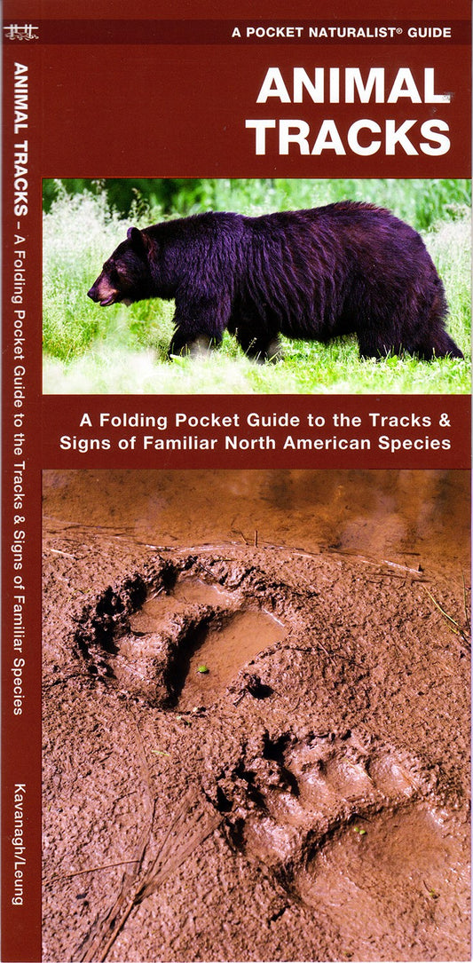 Animal Tracks Guide